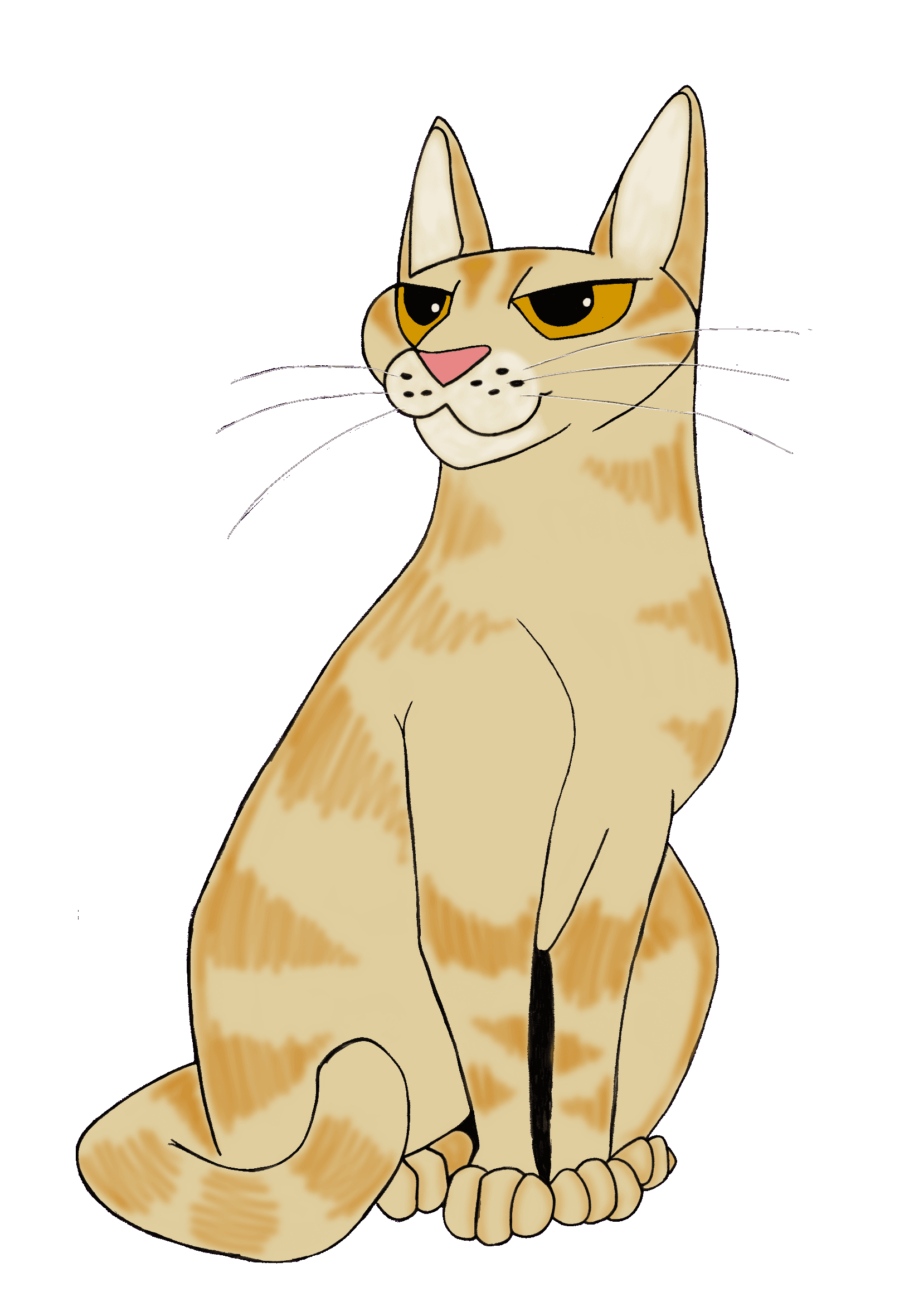 Little Orange Hell Cat