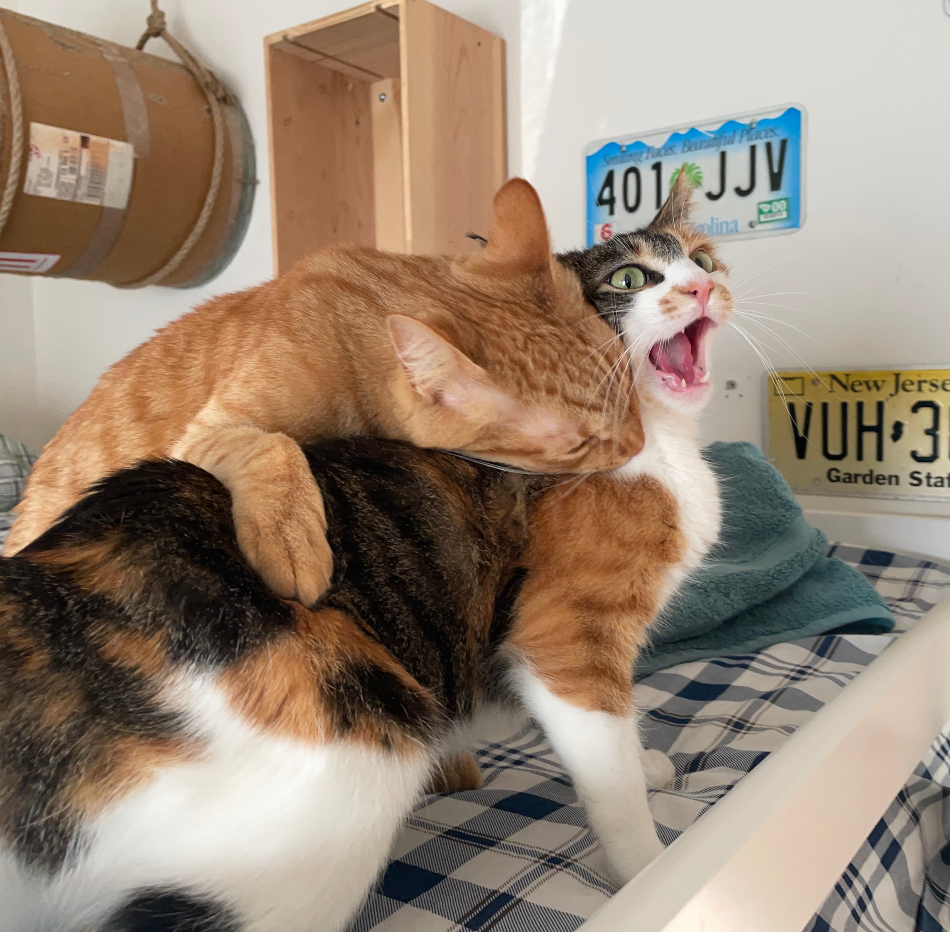 Rudy playing with toys